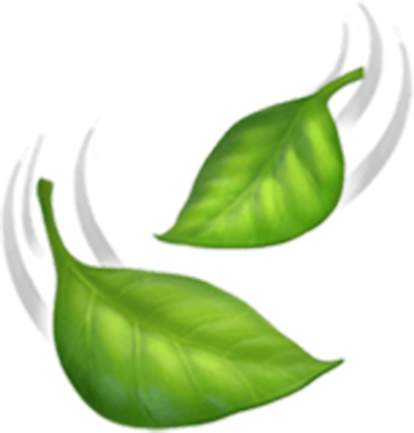 leaves