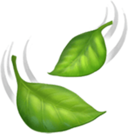leaves